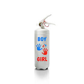 Вогнегасник для гендер паті "Boy or Girl" (1 кг.)