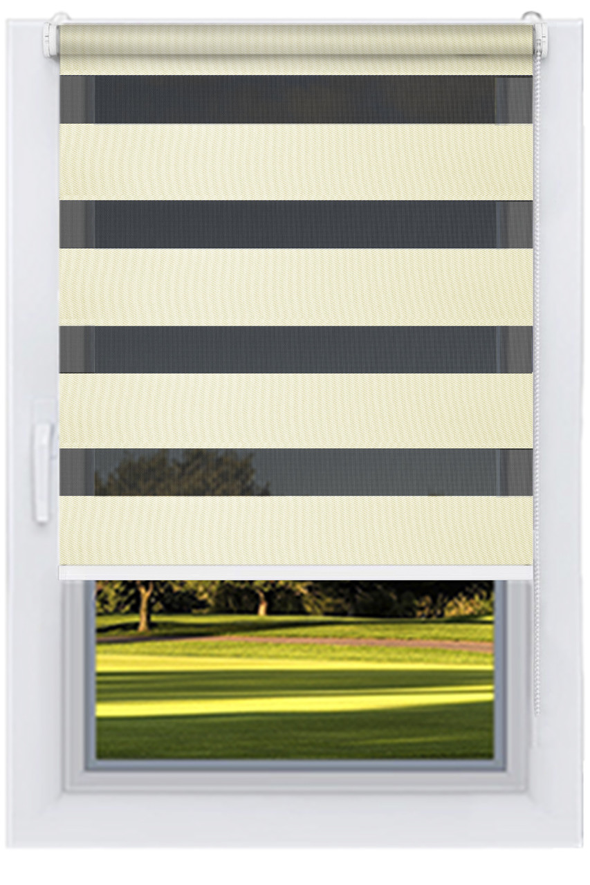 Преміум Рулонні штори День-Ніч Блэклайн Рислінг, фото 1