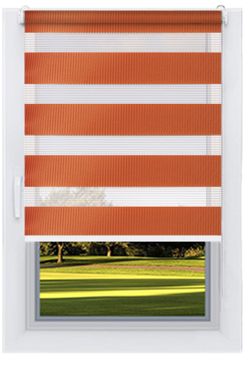 Ролета День ніч Ржа, фото 1