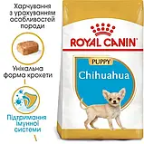 Сухий Корм Royal Canin CHIHUAHUA PUPPY Сухий корм для цуценят Чихуахуа 1.5 кг (3182550722544) (24380151), фото 3