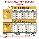 Сухий Корм Royal Canin CHIHUAHUA PUPPY Сухий корм для цуценят Чихуахуа 1.5 кг (3182550722544) (24380151), фото 6
