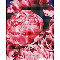 Алмазна мозаїка "Оксамитові півонії"  AMO7085 40х50