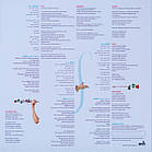 Nesrine Belmokh - Nesrine 2020 (Act 9919-1, 180 Gm.) Act/EU Mint Вінілова пластинка (art.244197), фото 7