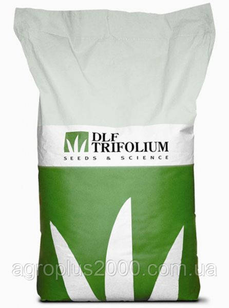 Насіння Газонна трава Дюймовочка 20 кг DLF Trifolium