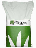 Семена Газонная трава Дюймовочка 20 кг DLF Trifolium