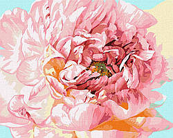 Картина за номерами - Ніжна півонія