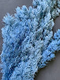 Аспарагус стабілізований світло блакитний ( 80 гр ), фото 2