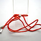 Чохол накладка TPU Cord зі шнурком для iPhone 11 Red, фото 3