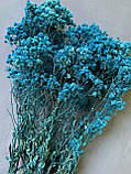 Гіпсофіла стабілізована блакитна 100 гр, фото 2