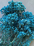 Гіпсофіла стабілізована блакитна 100 гр, фото 3