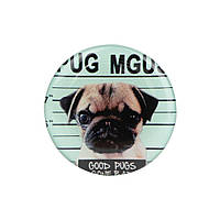 Держатель для телефона PopSocket Circle Цвет Pug 03