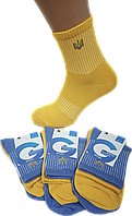 Шкарпетки чоловічі спортивні класичні (жовто-сині)