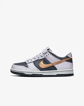 Кросівки Nike Dunk Low Se (Gs) DX1663-400