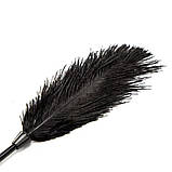 Лоскіт Black Feather Tickler, фото 3