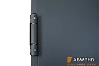 Технічні двері з італійськими самодовідними петлями TD, фото 3