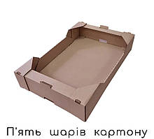 Коробка для ягід, фруктів, овочів - 575 × 370 × 94 / об'єм 5 кг