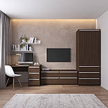 Комплект меблів у вітальню, шафа R-9 тумба R-6 стіл R-1 полиці М-22, фото 2