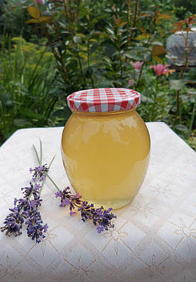 Мед та продукти бджільництва
