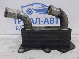 Радіатор оливний ДВС (теплообмінник) Hyundai