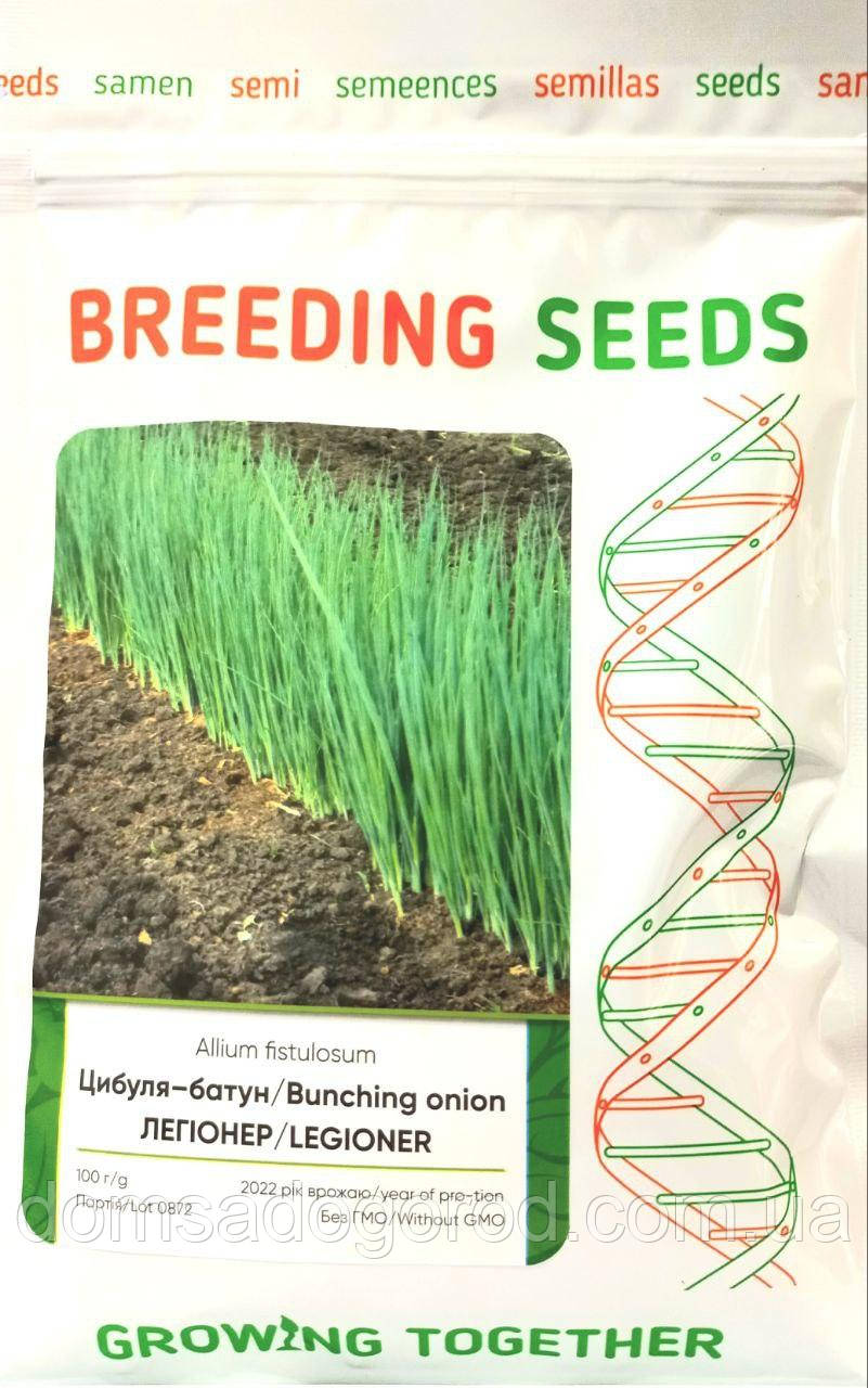 Цибуля на перо ЛЕГІОНЕР Breeding Seeds 100 гр