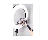 Кільцева LED лампа RL-18 на 55Вт. (Діаметр – 45см.) – штатив 210 см. + 3 шт. тримача + пульт + сумка-чохол, фото 4