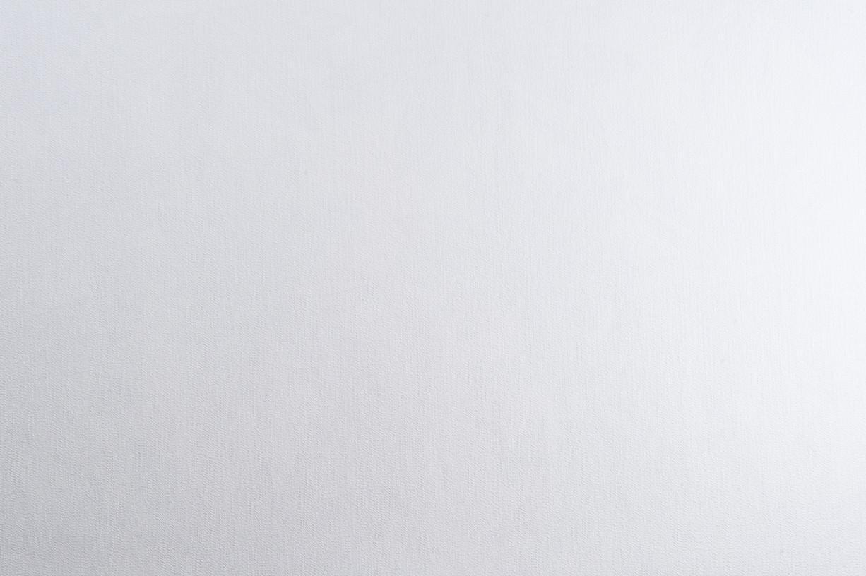 Однотонні шпалери білі метрові, вінілові шпалери на стіну LS Атуріна ДХН-1496/1 (1,06 х10,05м)