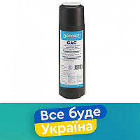 GAC ECOSOFT Картридж с гранулированным активированным углем ECOSOFT CHV2510ECO 2,5"Х10" 1шт