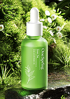 Зволожуюча сироватка з зеленим чаєм OneSpring Green Tea Moisturizing Essence