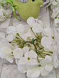 Головка гортензії декоративна біла, d квіточки  16 см, Польша, фото 3