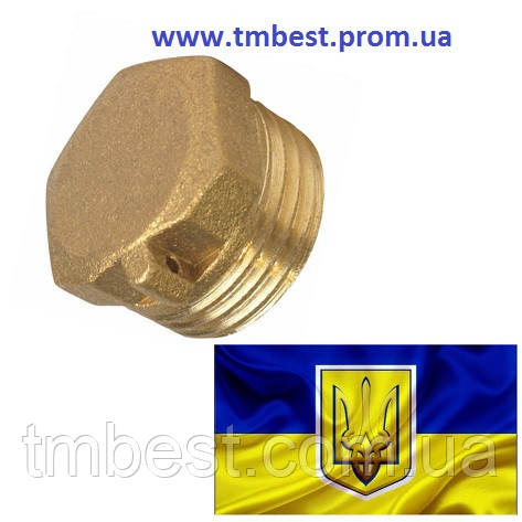 Заглушка 2"Н під пломбу латунна, фото 1