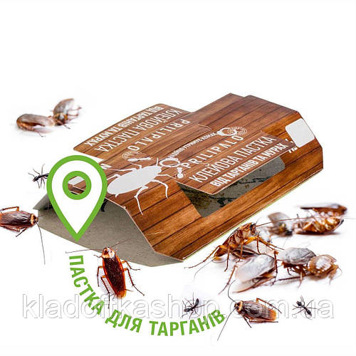 Купить Клеевая ловушка тараканов и муравьев PRILIPALO, цена 20 ₴ — Prom ...