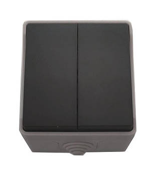 Вимикач для відкритого встановлення 2-кл. IP54 TNSy SURFACE Shopolife