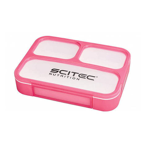 Food Container (pink), фото 1