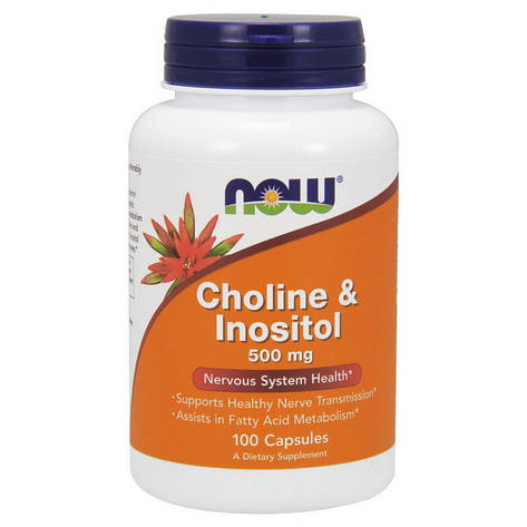 Choline & Inositol 500 mg (100 caps), фото 1