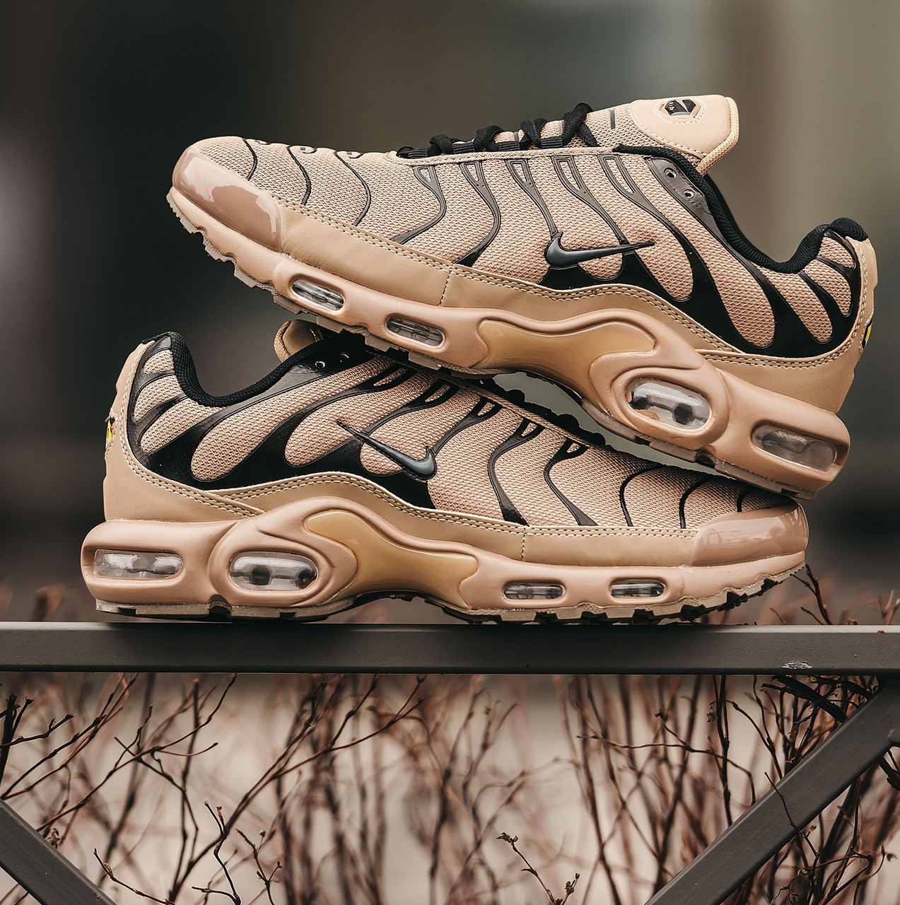 Чоловічі кросівки Nike Air Max Tn Plus літні. Аїр макс Тн весна-осінь повсякденні бежеві. Живе фото