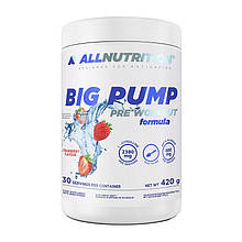 All Nutrition Big Pump (420 g)