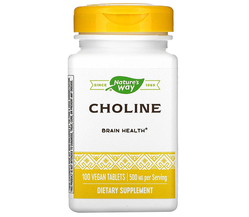 Харчова добавка Nature's Way Choline 500 mg 100 Tabs, фото 1