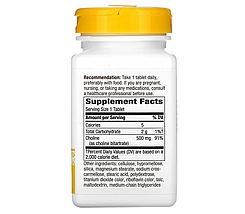 Харчова добавка Nature's Way Choline 500 mg 100 Tabs, фото 4