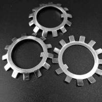 DIN 5406 Шайби стопорні лепесткові