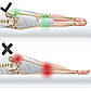 Подушка ортопедична 4FIZJO Support 24 x 21.5 см для ніг і колін 4FJ0410, фото 4