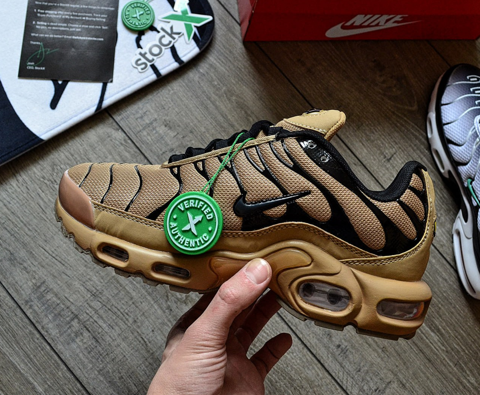 Nike Air Max Plus Tn Desert GS Beige Чоловічі кросівки Найк Аір Макс ТН Плюс коричневі на балоні весна літо