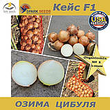Озима цибуля Кейс F1 ТМ Spark Seeds (США) 200 0000 насінин, фото 3