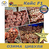Озима цибуля Кейс F1 ТМ Spark Seeds (США) 200 0000 насінин, фото 4