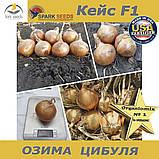 Озима цибуля Кейс F1 ТМ Spark Seeds (США) 200 0000 насінин, фото 7