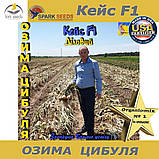 Озима цибуля Кейс F1 ТМ Spark Seeds (США) 200 0000 насінин, фото 8