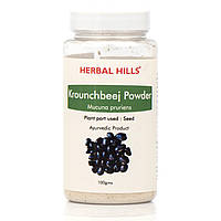 Капікачху — Krounchbeej Powder herbal hills — корисний жінкам і чоловікам із низьким лібідо/100g