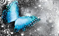 Фотошпалери до спальні над ліжком 254x184 см Синій метелик на чорно-білому тлі (574P4)+клей