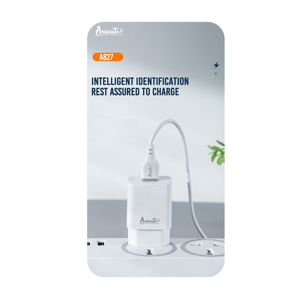 Мережевий зарядний пристрій Avantis A827 (1USB/2,4A) + Type-C cable- білий