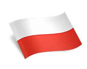 Сталеві радіатори Польща