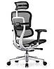 Крісло комп'ютерне Enrandnepr ERGOHUMAN ELITE 2 BLACK T-168-B1 Cітка, фото 7